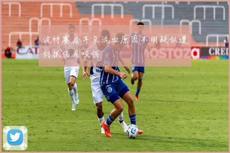波特赛后耳朵流血原因不明疑似遭到抓伤或咬伤
